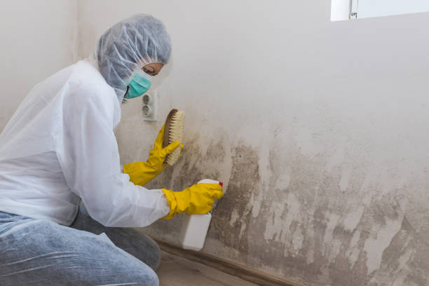 Best Mold Cleaning Services  in Fulshear, TX