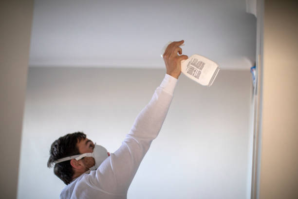 Best Mold Remediation  in Fulshear, TX