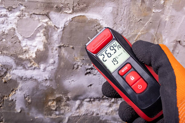 Mold Removal and Inspection in Fulshear, TX