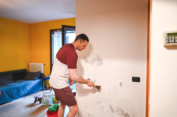 Best Professional Mold Removal  in Fulshear, TX