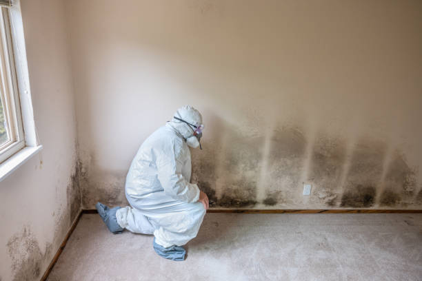 Best Crawl Space Mold Removal  in Fulshear, TX