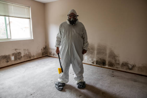 Best Mold Remediation Services  in Fulshear, TX