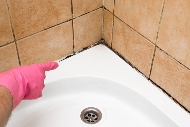 Best Mold Testing  in Fulshear, TX